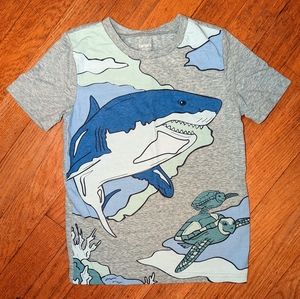 5 5T Shark and sea turtle T-shirt Carters